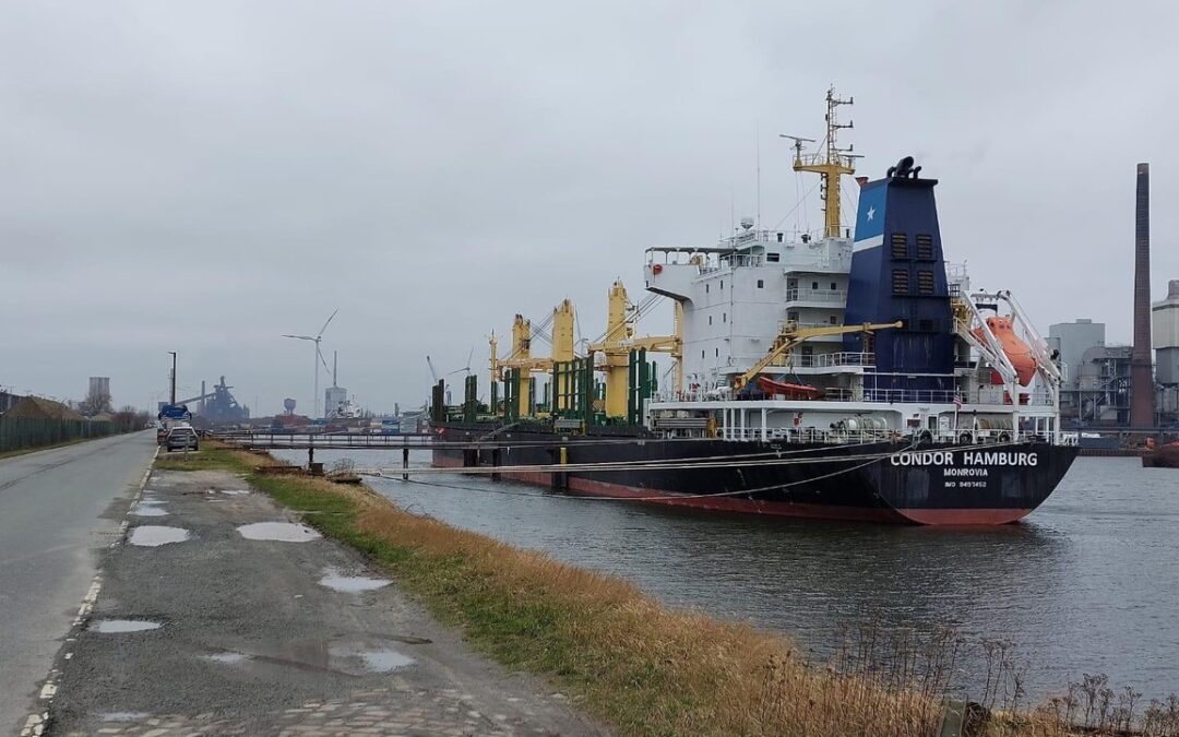 Ballast water treatment solutions {BaaS} - In Port