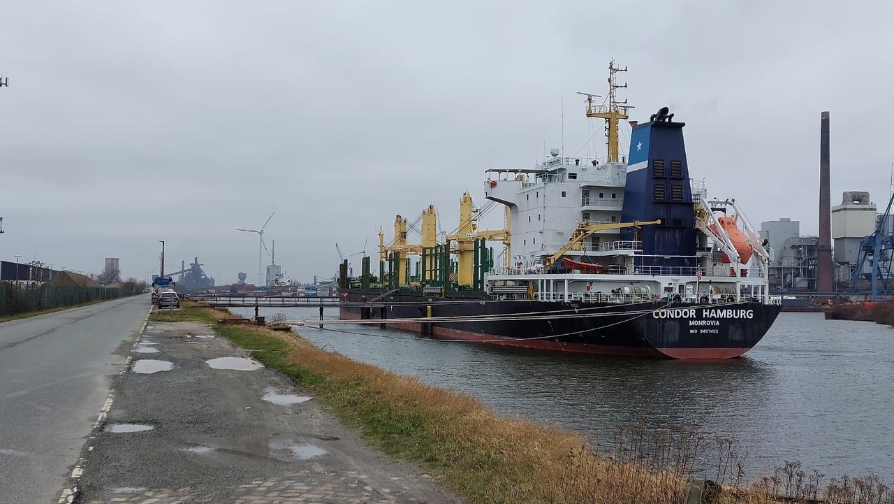 Ballast water treatment solutions {BaaS} - In Port